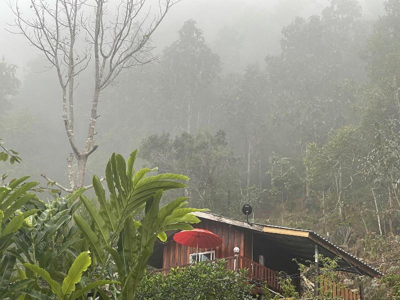 Forest Guesthouse image