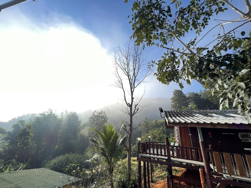 Forest Guesthouse image