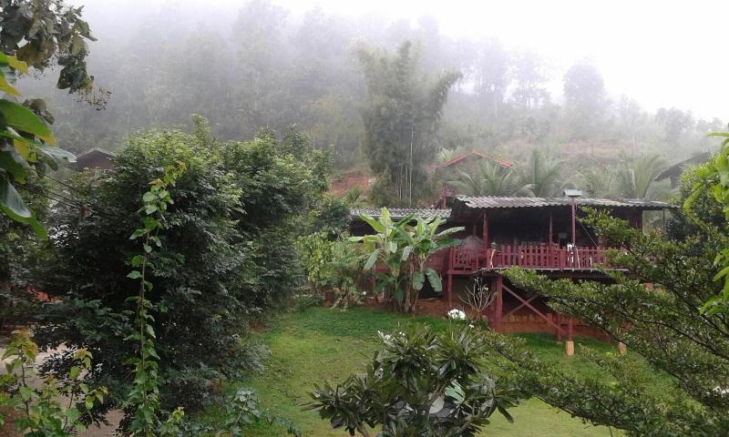 Forest Guesthouse image
