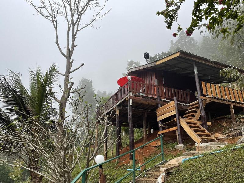 Forest Guesthouse image