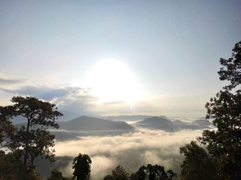 Forest Guesthouse image