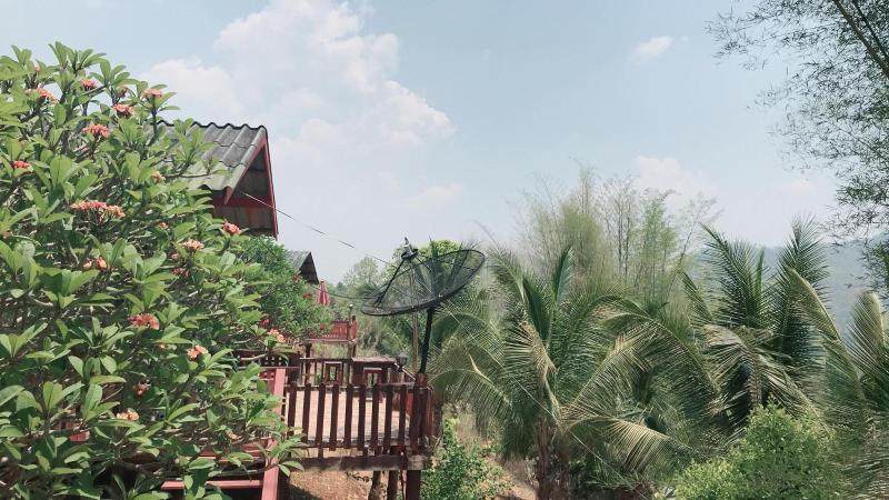 Forest Guesthouse image