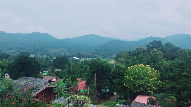 Forest Guesthouse image
