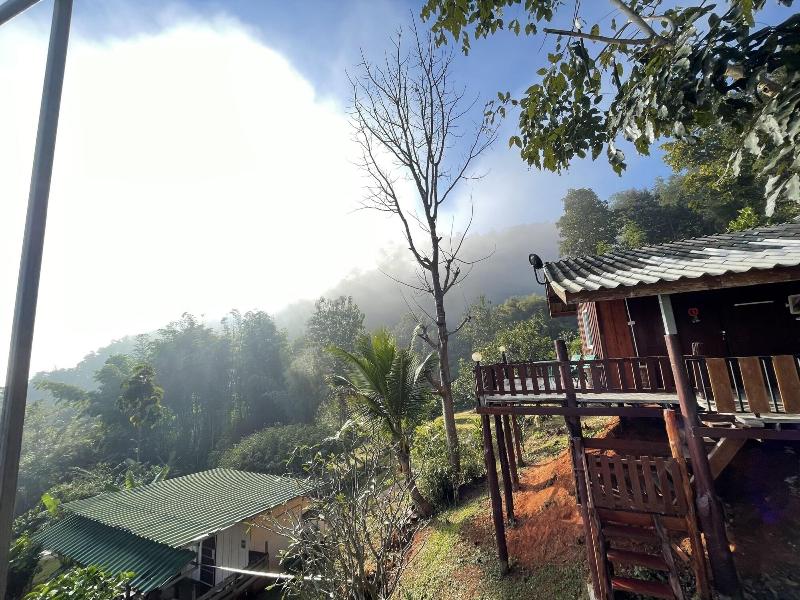 Forest Guesthouse image