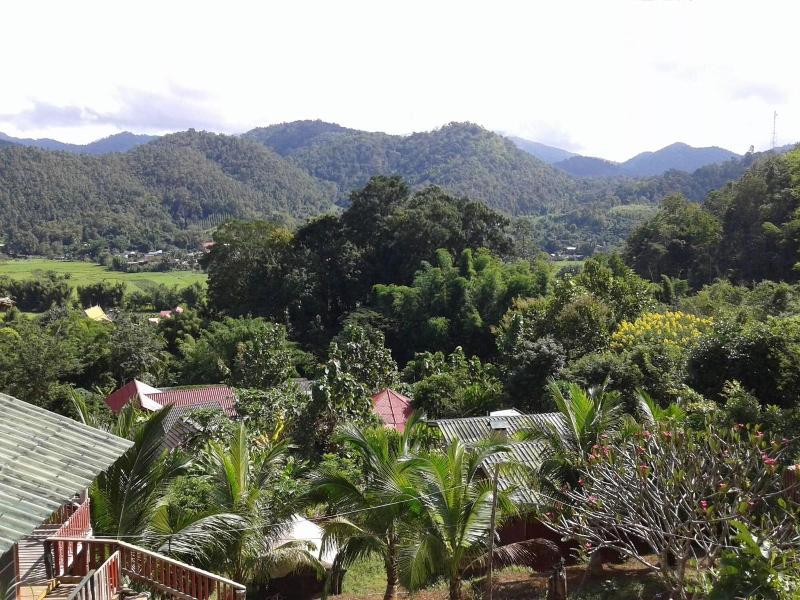 Forest Guesthouse image