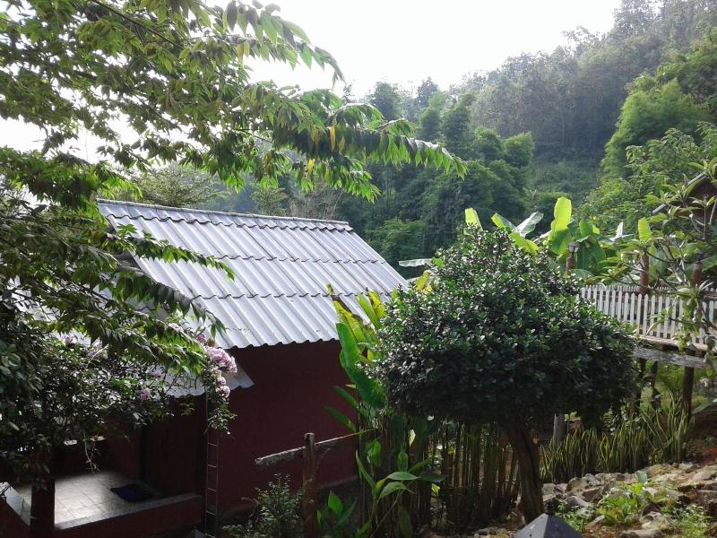 Forest Guesthouse image