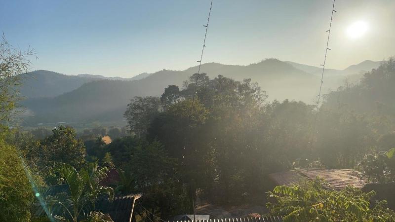 Forest Guesthouse image