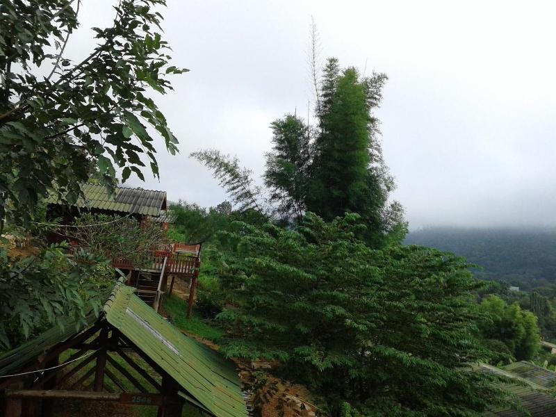 Forest Guesthouse image