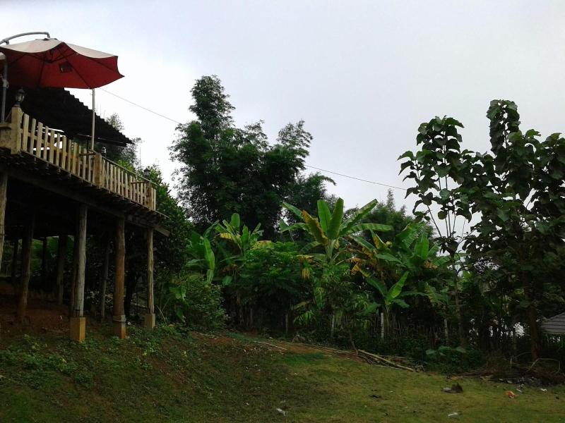 Forest Guesthouse image
