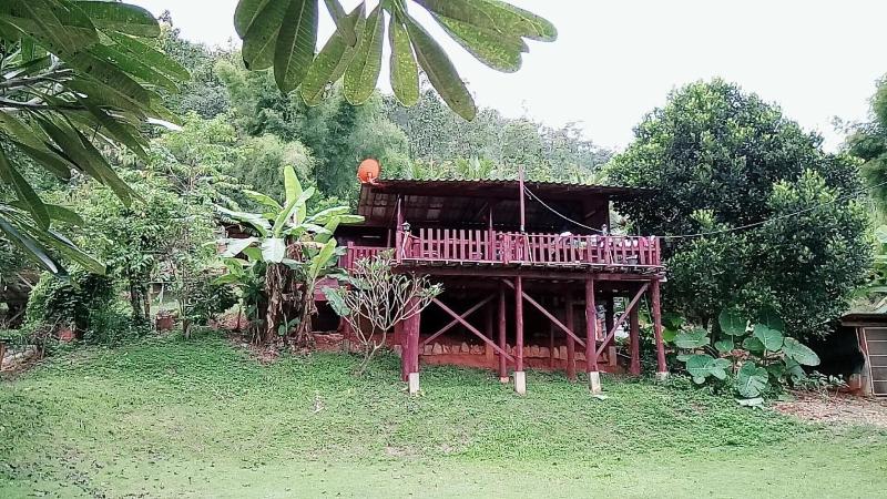 Forest Guesthouse image