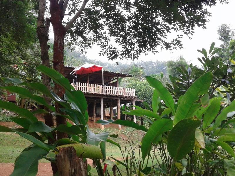 Forest Guesthouse image