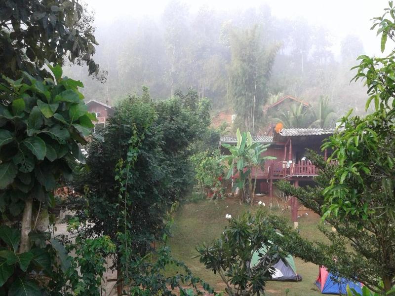Forest Guesthouse image