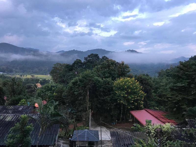 Forest Guesthouse image