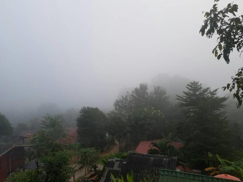Forest Guesthouse image