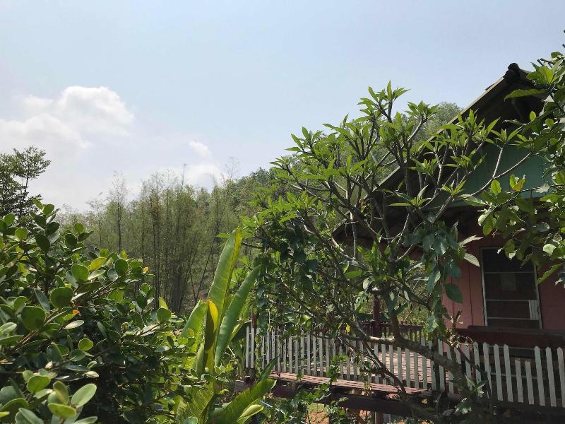 Forest Guesthouse image