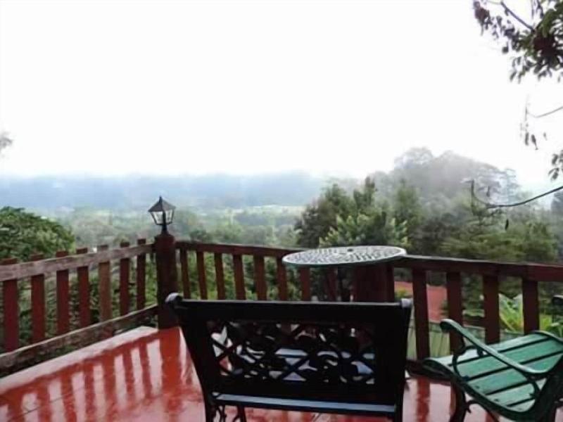 Forest Guesthouse image