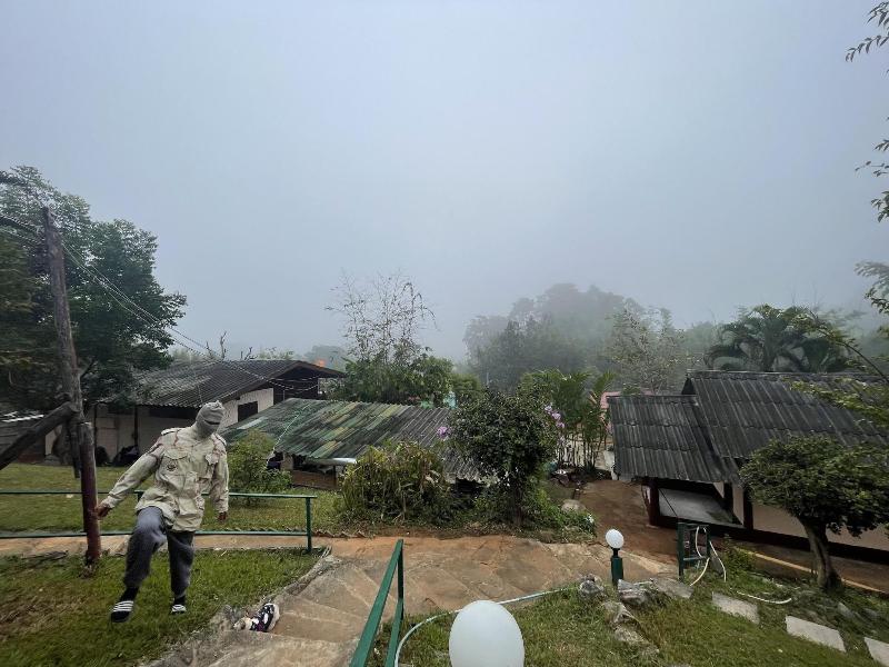Forest Guesthouse image