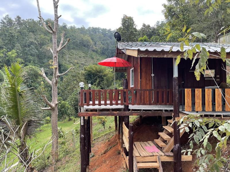 Forest Guesthouse image