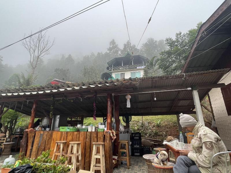 Forest Guesthouse image