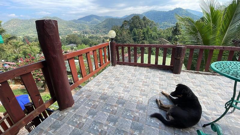 Forest Guesthouse image
