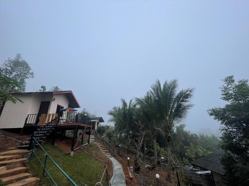 Forest Guesthouse image
