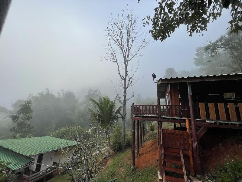 Forest Guesthouse image