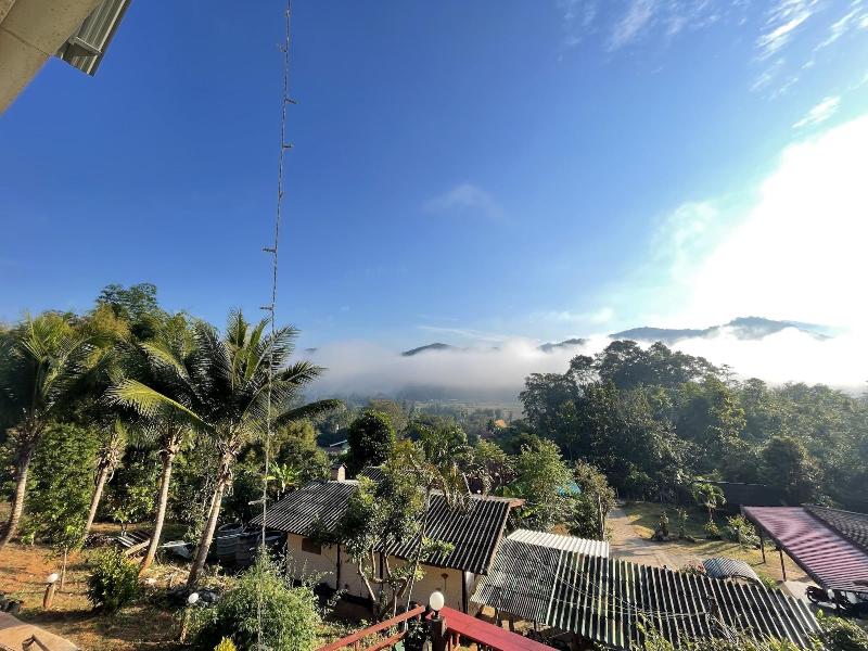 Forest Guesthouse image