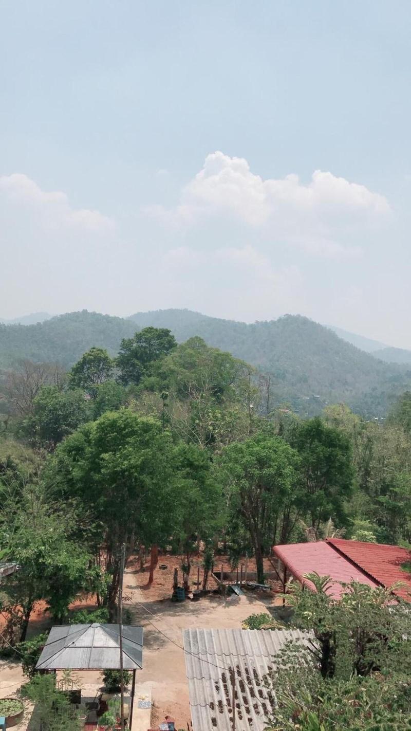 Forest Guesthouse image