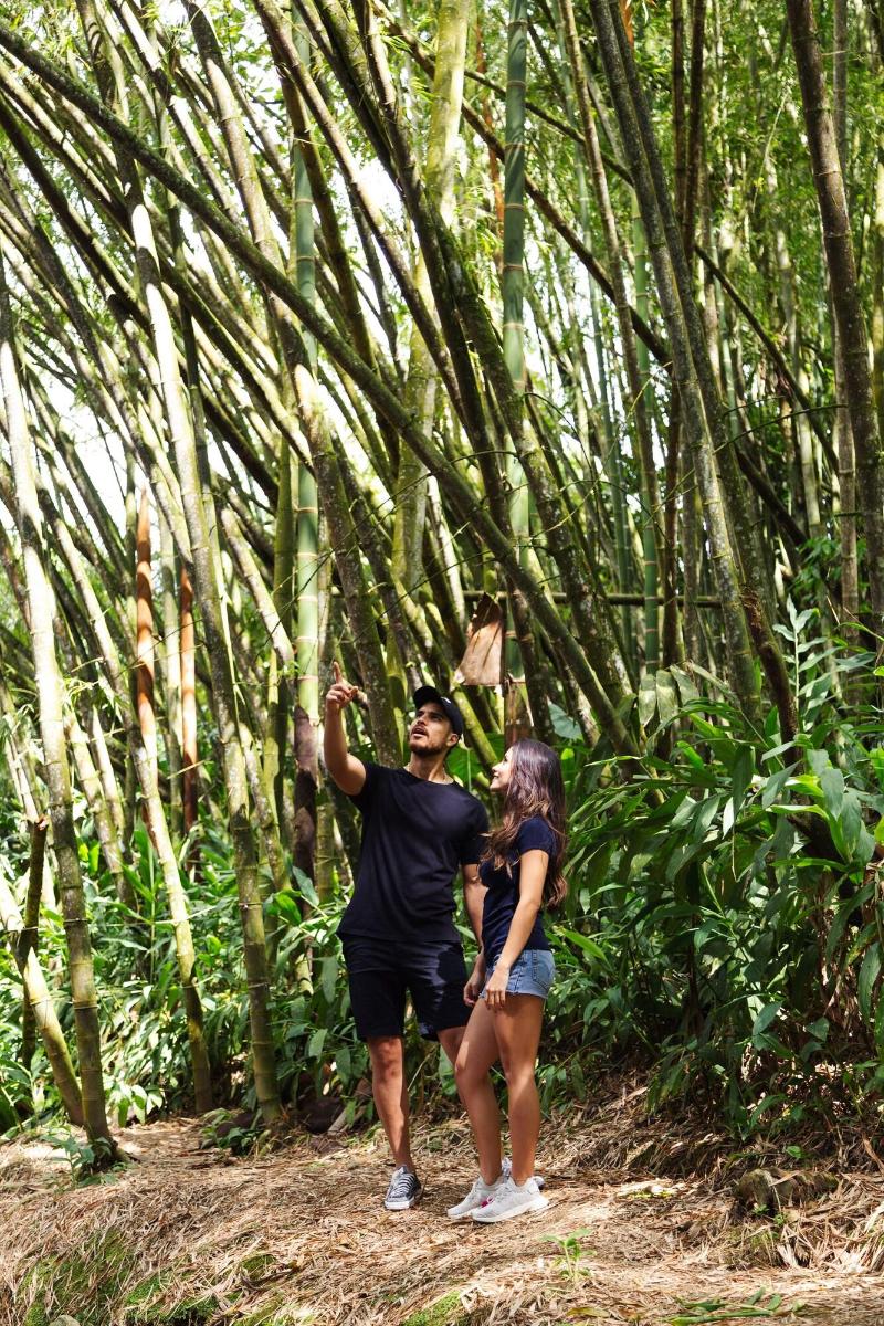 Hotel Hacienda Santa Clara photo 5