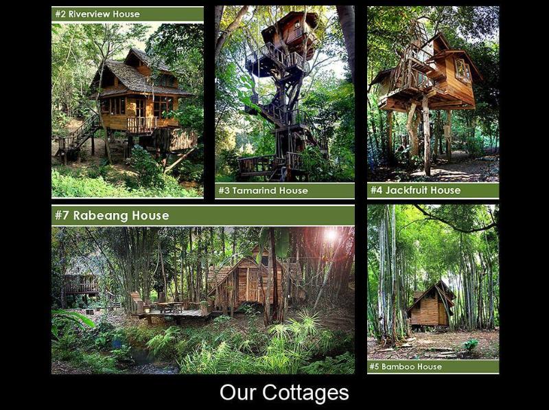 Rabeang Pasak Treehouse Resort