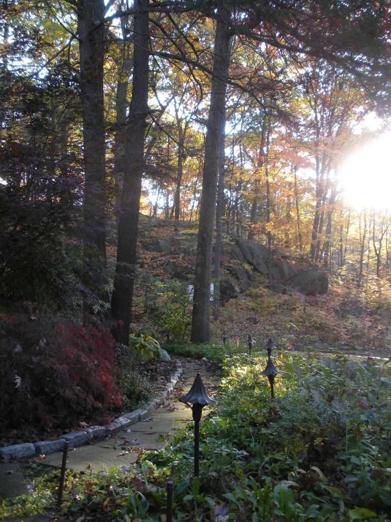 Inn The Woods Bed And Breakfast image