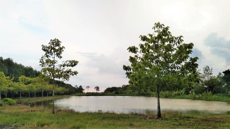 Happy Home Resort image
