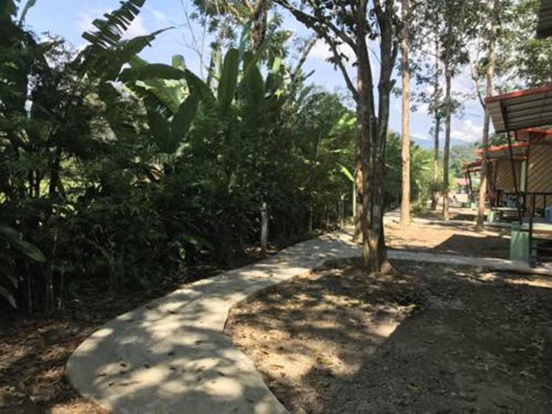 Khaosok Bamboo Huts Resort — photo 2