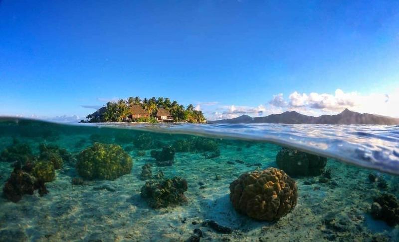 EDEN Private Island Tahaa image