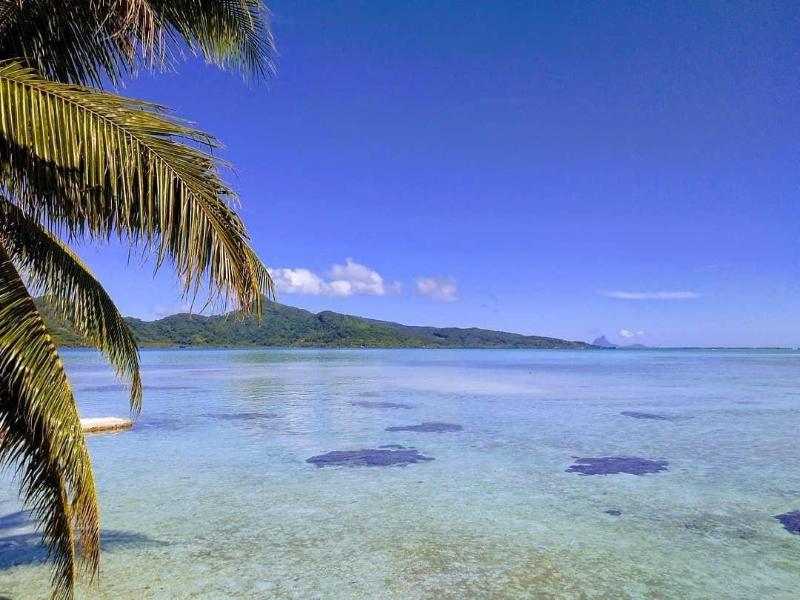 EDEN Private Island Tahaa image