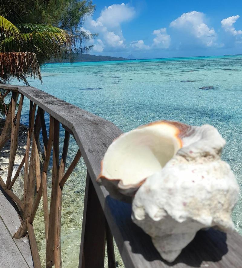 EDEN Private Island Tahaa image