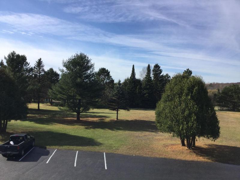 Cedars Motel image