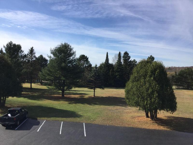 Cedars Motel image