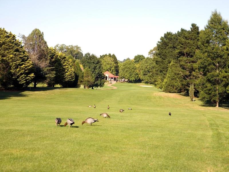 The Dormie House - On The Golf Course image