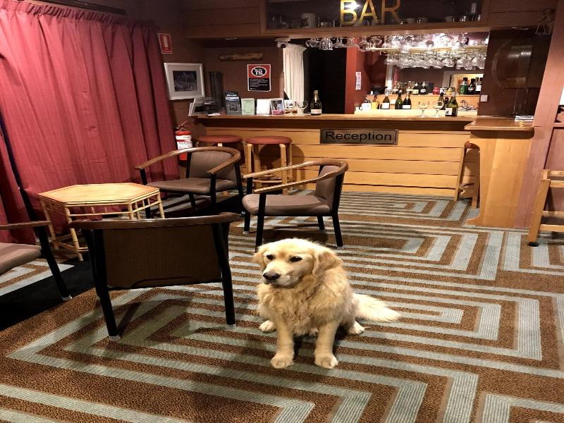 Cottonwood Lodge image