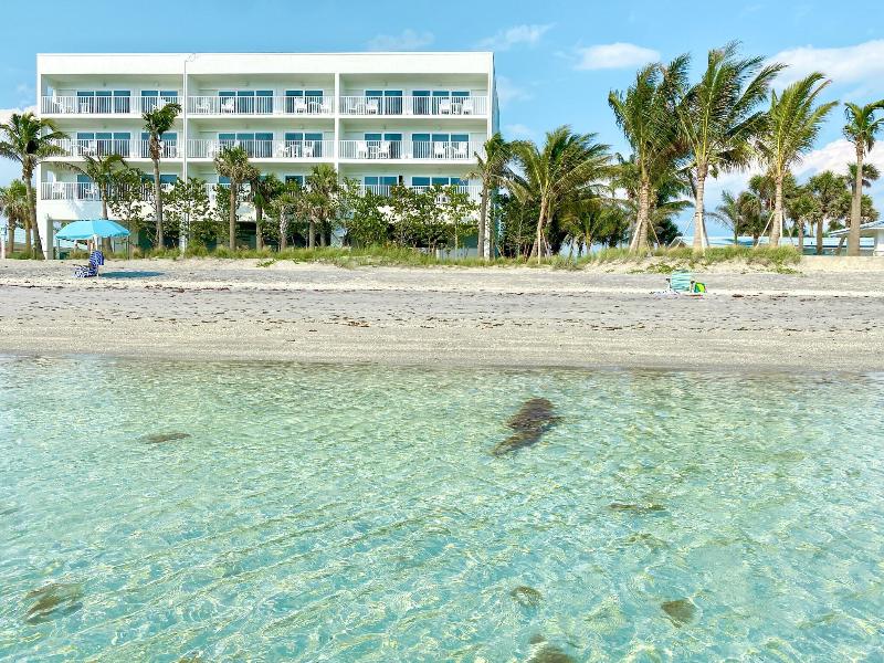 Wannab Inn image