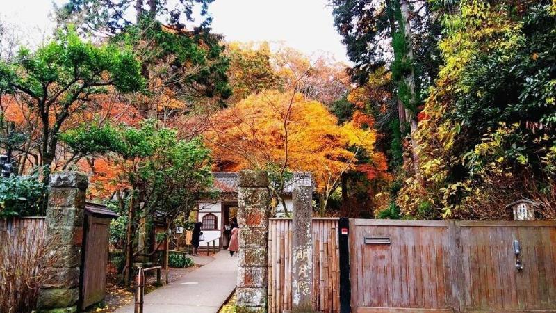 Guesthouse Irodori Kamakura image