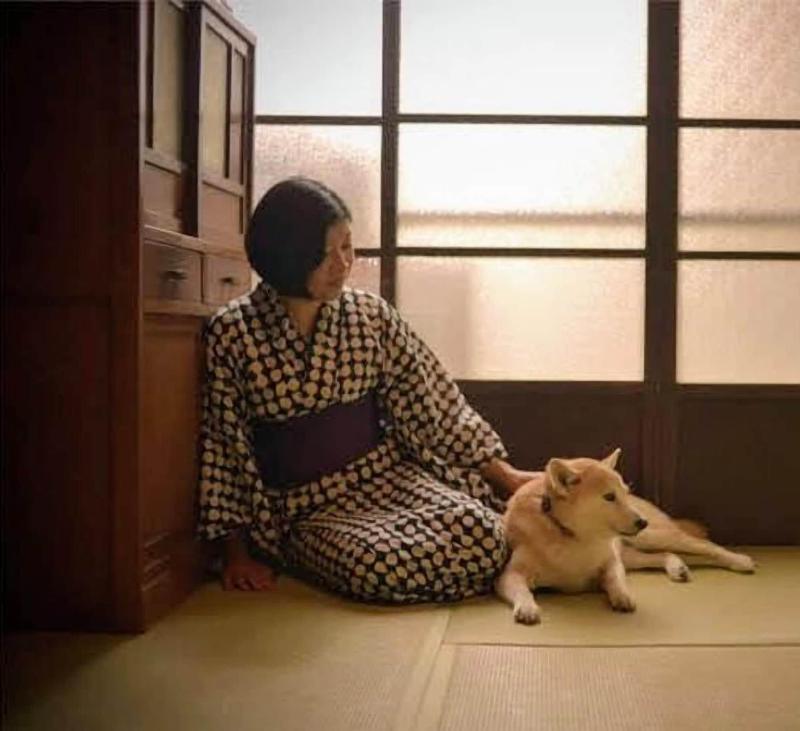 Guesthouse Irodori Kamakura image