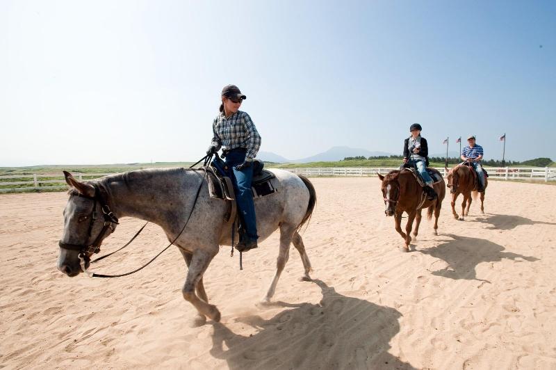 El Patio Ranch image