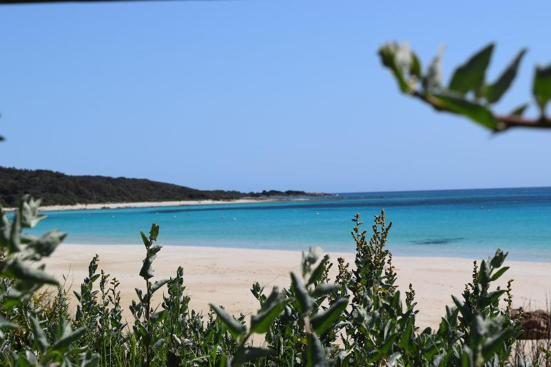 Eagle Bay House