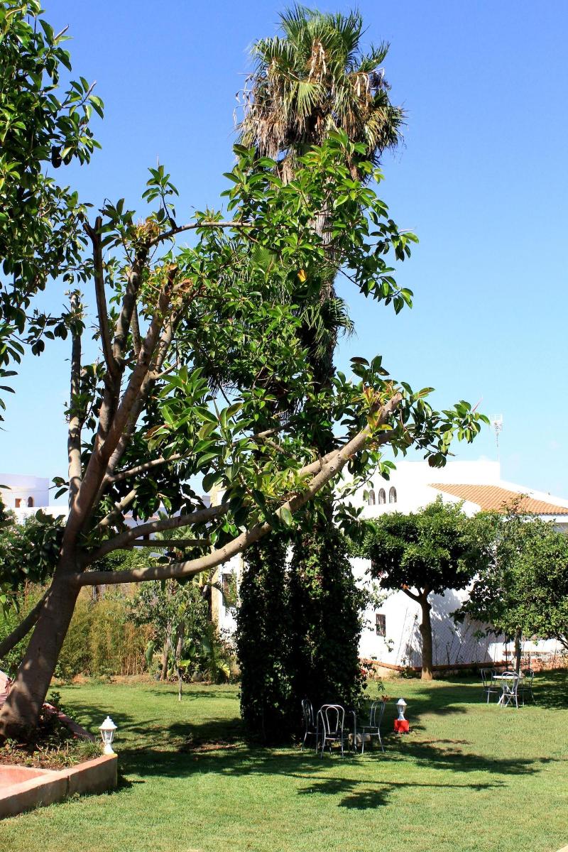 Riad Dar Achaach image