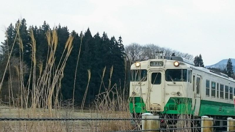 Seiryu No Yado Kawachi — general view