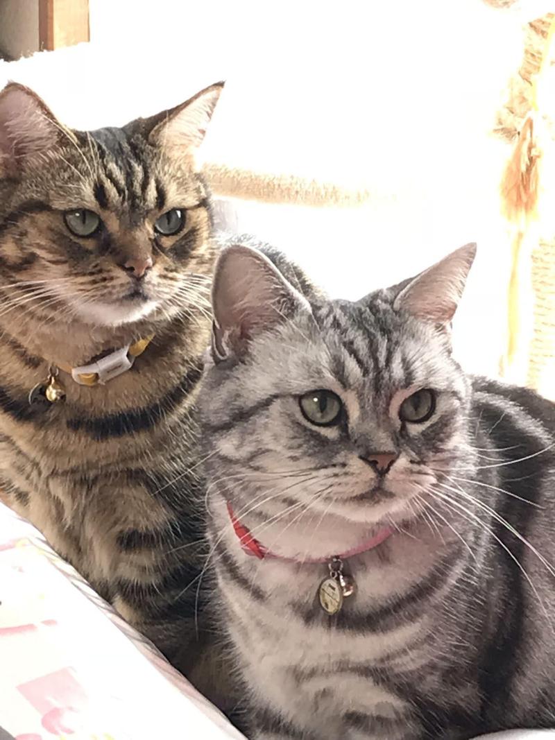 Ouji Pension Naeba - Image 8