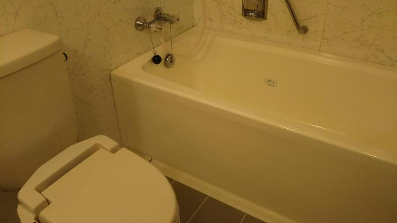 Hotel Hitachi Hills image