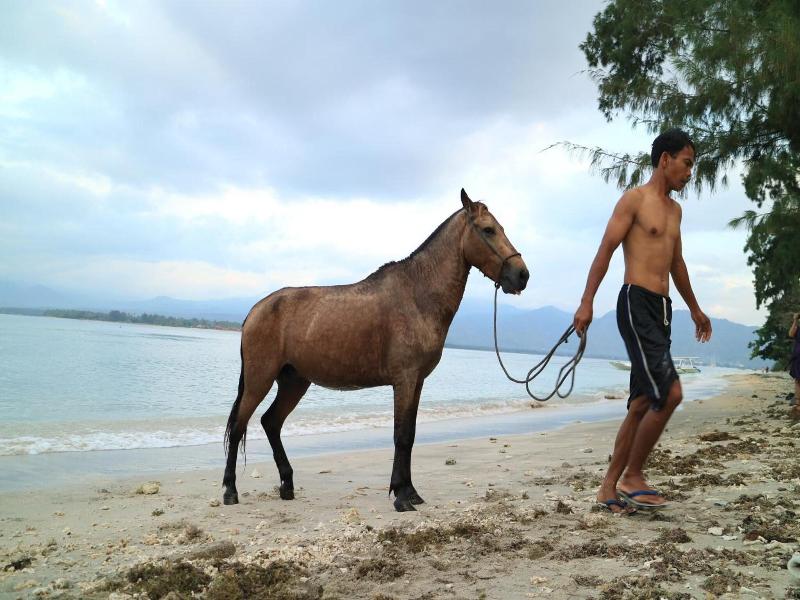 Villa Coco Republic image